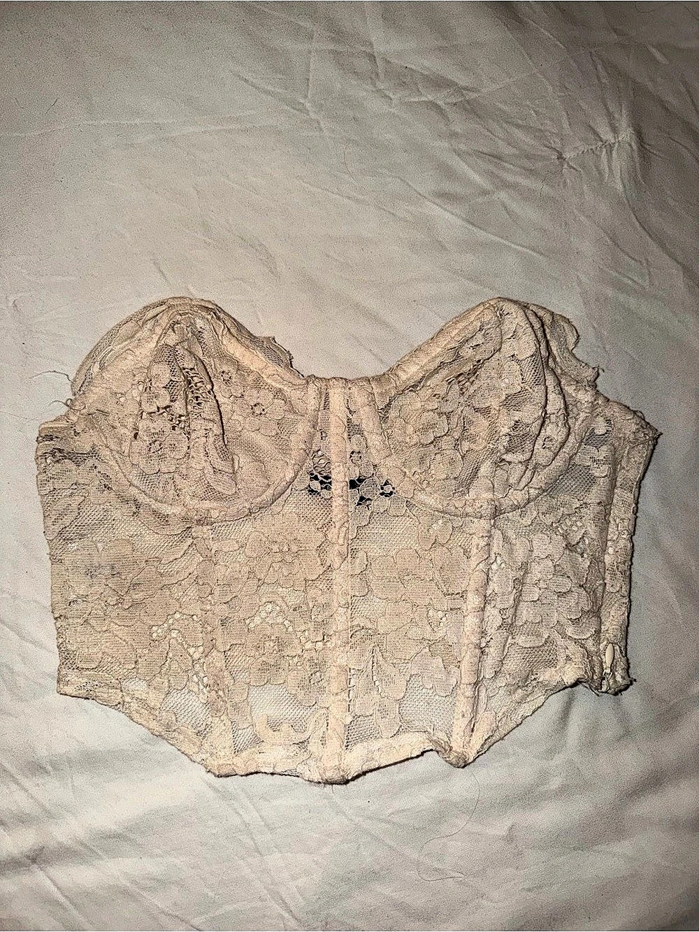 Kendall & Kylie Lace Bustier Top in Beige Size XS
